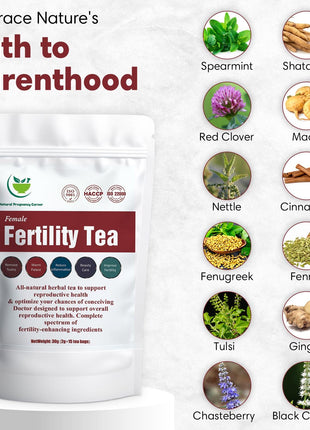 Thé de fertilité féminine, Booster d'ovulation, œuf fort, équilibre hormonal 